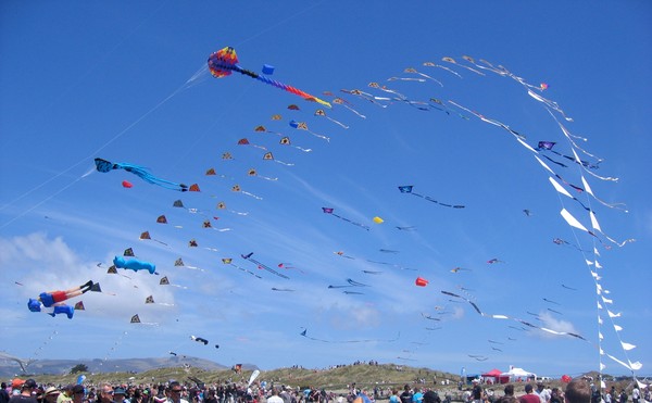 Grand Kite Display and Kite-making Workshops in Wanaka this week